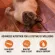 Wellness Core Pate 85g, chicken and turkey formula Premium grade cat food x petsister