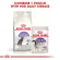 Royal canin อาหารแมวทำหมัน sterilised 10 kg