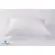 ปลอกหมอน กันไรฝุ่น โดย Mitex ขนาด 20x30 นิ้ว Dust Mite & Allergy Control Pillow Cover