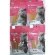 Cat Katkun Cat Katcoon, Cat Food, Chicken, Fish Line for Cats, KAT KUN, size 40 grams