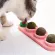 แคทนิปบอล กัญชาแมว บอลแมวเลีย 3 ลูก ฟรี ขนมแมว ช่วยผ่อนคลาย ขับก้อนขน กลิ่นปากหอม