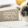 Feline Natural Grain-Free Canned Cat Food 170g สูตรวัวและปลาค็อด อาหารเปียกแมวเกรดพรีเมี่ยม x Petsister