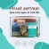 Feline Natural Grain-Free Canned Cat Food 170g สูตรวัวและปลาค็อด อาหารเปียกแมวเกรดพรีเมี่ยม x Petsister