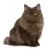 เพ็ทสไมล์ แชมพูแก้คัน ผิวแห้ง ขนหยาบกระด้างในแมว ขนาด 500 ml x 1 ขวด PETSMILE ANTI-ITCH SHAMPOO AND CONDITIONER FOR CAT 500 ml x 1 bottle