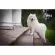 Pets, miles, shampoo, dry skin, rough hair in 500 ml x 1 bottle of Petsmile Anti-Aitch Shampoo and Conditioner for Dog 500 ml x 1 Bottle.