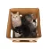KAFBO CASTLE CUBE KNIGHT STICKER Black cat knight sticker