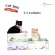 KAFBO CAT BOX - Catnip Drink Cat Case, Cat House, Cat Nail Cat Rain, Cat Nail