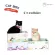 KAFBO CAT BOX - Mangosteen box, cat box, cat house, cat nail