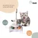 KAFBO cat spring toy ของเล่นสำหรับแมว แท่นไม้สำหรับแมว ลูกบอลสำหรับแมว