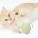 KAFBO EGG Shell -Green Eggs Egg toys for cats, cats, cats