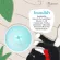 KAFBO selected Smart Cat Toy by KAFBO