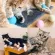 KAFBO Catdribball บอลจ๊ะจ๋า - ของเล่นสำหรับแมว ลูกบอลสำหรับแมว ลูกบอกมีเสียง ของเล่นแมว