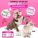 Mixneral Waterless from Shampoo 200 ml. Dry dog ​​bathing foam Foam, dry bathing, safe rabbit, get rid of the smell of pets