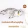 Cheapest! Ready to deliver cat toys, spring, suction, rat Small size, easy to carry for a beautiful color cat 10.- from normal 19.-