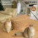 Ready to deliver! Miaofairy, a wooden cat toys