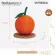 ของแท้ถูกสุด! พร้อมส่ง Vetreska ที่ลับเล็บแมว Mini Cherry & Orange