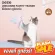 ของแท้ถูกสุด! พร้อมส่ง zeze UNICORN FAIRTY TEASER ไม้ล่อแมว ไม้ตกแมว ของเล่นแมว