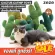 The cheapest genuine! Ready to send Zeze Cactus Catnip Toy Cactus toys For pets