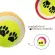 ลูกเทนนิส ลูกบอลสุนัข ของเล่นสุนัข Dog Training Ball ลูกบอลสัตว์เลี้ยง ลูกเทนนิสสัตว์เลี้ยง