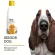 Petsmile Rice Shampoo & Conditioner 550ml แชมพูข้าวสำหรับสุนัขวัยชรา