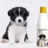 Petsmile Coconut Oil Shampoo & Conditioner 280ml Coconut oil shampoo For puppies