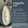 Petsmile King of Durain Shampoo for Dog 500ml Durian shampoo mixed with dogs.
