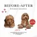 Petsmile Coconut Oil Shampoo & Conditioner 550ml Coconut oil shampoo For puppies