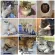 Petsmile Natural Healing Ear Wash Organic Premium for Cat 100ml. Treatment of a cat's ear cleaning mites.