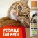 Petsmile Natural Healing Ear Wash Organic Premium for Cat 100ml. Treatment of a cat's ear cleaning mites.