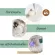 3 in 1 cat temptation with laser and LED lights to shine mold on the surface of the pet.