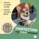 Pawtection Tin Balm for protecting dog paws Apply before leaving the house 30 ml.