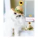 Cheapest! Ready to send a fashion hat, cat, yellow flower