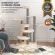 ของแท้พร้อมส่ง HONEYPOT CAT CLIMBING FRAME Cat Nest Cat Tree Integrated Imported Solid Wood Cat Villa