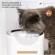 Authentic, ready to deliver the new Petkit Eversweet 6, the latest model of wireless cat fountain Connect and control the usage through the app. For pets