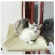 Sunny Seat เปลแมว ที่นอนแมวติดกระจก ที่นอนแมว พร้อมส่ง0126