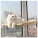 Sunny SEAT Cat Cat Cat Mattress Cat Cat Mattress Ready Delivery 0126