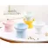 Cheapest! Ready to deliver a ceramic bowl, bowl, food, bowl, drink water To protect the neck spine