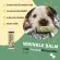 WRINKLE BALM TRAVEL STICK บาล์มสำหรับรอยย่น สุนัขหน้าย่น ลดคราบน้ำตา และผื่นภูมิแพ้สุนัข 4.5 ml