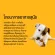 PEDIGREE DOG FOOD DRY PUPPY CHICKEN EGG AND MILK FLAVER 8 Kg เพดดิกรี อาหารสุนัขชนิดแห้ง แบบเม็ด สูตรลูกสุนัข รสไก่ไข่และนม 8 กิโลกรัม อาหารสัตว์เลี้