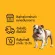 PEDIGREE DOG FOOD DRY PUPPY CHICKEN EGG AND MILK FLAVER 8 Kg เพดดิกรี อาหารสุนัขชนิดแห้ง แบบเม็ด สูตรลูกสุนัข รสไก่ไข่และนม 8 กิโลกรัม อาหารสัตว์เลี้