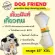 Dog Friend กระดูก XXL 15 นิ้ว เคี้ยวมันส์