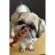Petsmile Dentalclean for Dog ขนมขัดฟันสำหรับสุนัข x 1ซองเล็ก