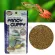 Hikari Fancy Guppy 22g. Premium peacock tail fish