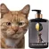 Pets, Miles, Durian shampoo, mixed with 500 ml x (Petsmile King of Durian Shampoo for Cat 500 ML x 1 Bottle