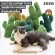 The cheapest genuine! Ready to send Zeze Cactus Catnip Toy Cactus toys For pets