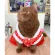 Chinese New Year skirt For the younger dog