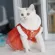 Chinese New Year skirt For the younger dog