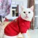 Chinese New Year For the younger dog