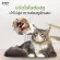 GAGER Bad Double Foam Pack+Ear Lotion Cat ears/dog earrings For dogs and organic cats extracted from natural size 50ml.