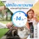 Gager แชมพูอาบน้ำแมว สูตรDetox ลดขนร่วง  อ่อนโยน สกัดจากถ่านชาโคล สำหรับทุกพันธุ์และทุกวัย แชมพูแมว Cat Shampoo 250ml.
